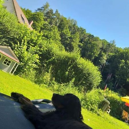 Ferienwohnung - Gruene Oase Stockach Bagian luar foto