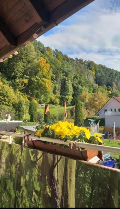 Ferienwohnung - Gruene Oase Stockach Bagian luar foto
