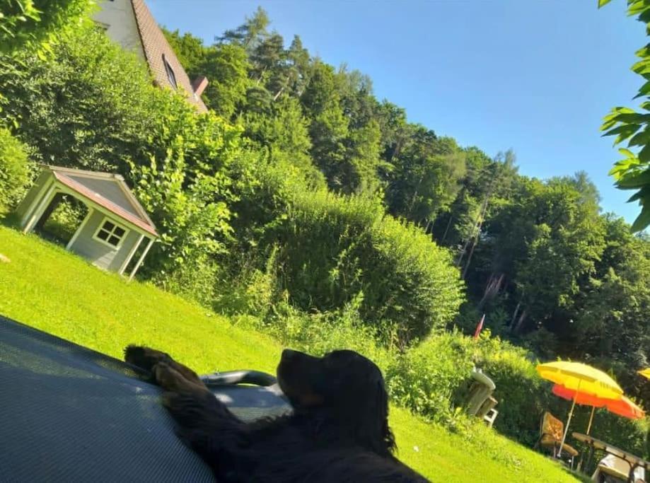 Ferienwohnung - Gruene Oase Stockach Bagian luar foto